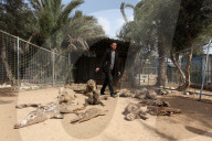REPORTAGE - Mumifizierte Tiere im Khan Younis Zoo in Gaza