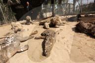 REPORTAGE - Mumifizierte Tiere im Khan Younis Zoo in Gaza