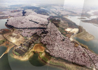FEATURE - Ein Blumenmeer - Luftaufnahme in China