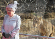 PEOPLE - Queen Elizabeth 90. Geburtstag - Ein Herz für Tiere