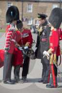 PEOPLE - Die Royals - Bilder des Tages