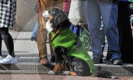 FEATURE - Iren rund um den Globus feierten den St. Patrick's Day