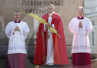 NEWS - Vatikan: Papst Franziskus feiert den Palmsonntag