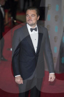 Leonardo Dicaprio