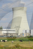 NEWS - Terror in Brüssel: Belgische Atomkraftwerke teilevakuiert