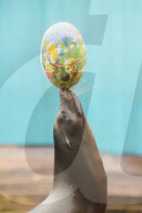 FEATURE - Tierische Ostern schon mal!