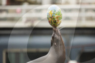 FEATURE - Tierische Ostern schon mal!