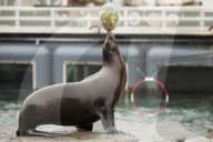 FEATURE - Tierische Ostern schon mal!
