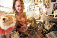 FEATURE - Katzenkaffee in Bangkok