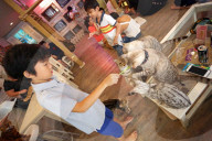 FEATURE - Katzenkaffee in Bangkok