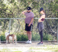 EXKLUSIV - Shia LaBeouf fŸhrt seine Bulldogge Brando Gassi