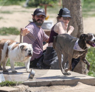 EXKLUSIV - Shia LaBeouf fŸhrt seine Bulldogge Brando Gassi