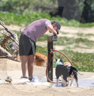 EXKLUSIV - Shia LaBeouf fŸhrt seine Bulldogge Brando Gassi