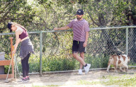 EXKLUSIV - Shia LaBeouf fŸhrt seine Bulldogge Brando Gassi