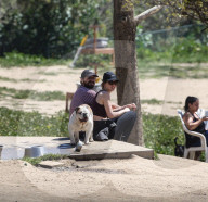 EXKLUSIV - Shia LaBeouf fŸhrt seine Bulldogge Brando Gassi