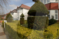 REPORTAGE - Golders Green im London Borough of Barnet