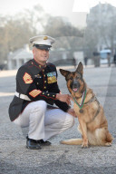 NEWS - Für besondere Tapferkeit: Dreibeinige Sprengstoffhündin erhält Ehrenmedaille