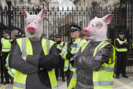NEWS - Panama Papers: Protest in London gegen David Cameron