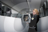 FEATURE - Zum Wohl der Tiere: Die Tierambulanz hilft im Notfall