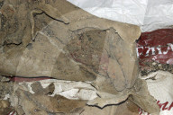 NEWS - Forscher finden Mumie in Mongolei - trägt sie Adidas-Schuhe?