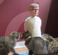 FEATURE - Kratzfest: Donald Trump & Co als Katzenbaum