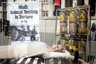 NEWS - PETA Demonstartion gegen Tierversuche in London
