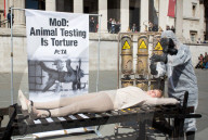 NEWS - PETA Demonstartion gegen Tierversuche in London