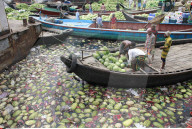 REPORTAGE - Alltag in Bangladesh