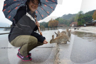 FEATURE - Haben keine Feinde: Haseninvasion auf Rabbit-Island