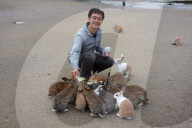 FEATURE - Haben keine Feinde: Haseninvasion auf Rabbit-Island
