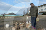 FEATURE - Haben keine Feinde: Haseninvasion auf Rabbit-Island