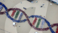 FEATURE - Rekordverdächtig: Menschen bilden die längste DNA-Kette in Varna