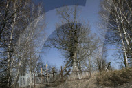 NEWS - Tschernobyl: 30 Jahre nach der Nuklearkatastrophe - 'Exclusive Zone'