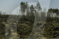 NEWS - Tschernobyl: 30 Jahre nach der Nuklearkatastrophe - 'Exclusive Zone'