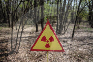 NEWS - Tschernobyl: 30 Jahre nach der Nuklearkatastrophe