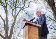 NEWS - USA Vorwahlen: Bernie Sanders in Connecticut