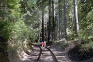 FEATURE - Leben ohne Technologie