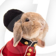 FEATURE - Die stilvollsten Hase der Welt
