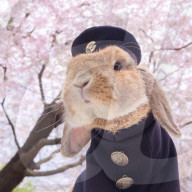 FEATURE - Die stilvollsten Hase der Welt