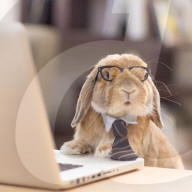 FEATURE - Die stilvollsten Hase der Welt