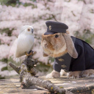 FEATURE - Die stilvollsten Hase der Welt