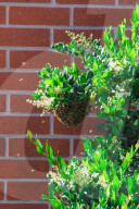 PEOPLE - 'Flotte Bienen' belagern Kyle Richard's Laden