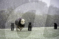 NEWS - Grossbritannien: Schnee im Lake District