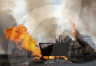 NEWS - Kenya: Uhuru Kenyatta lässt 100 Tonnen Elfenbein verbrennen