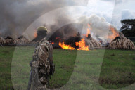 NEWS - Kenya: Uhuru Kenyatta lässt 100 Tonnen Elfenbein verbrennen