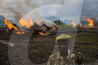 NEWS - Kenya: Uhuru Kenyatta lässt 100 Tonnen Elfenbein verbrennen