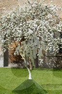 FEATURE - 'Elements of Capability Brown' Ausstellung im Garten der Lacock Abbey in Wiltshire