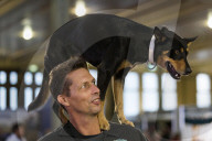FEATURE - Hundeshow in Melbourne