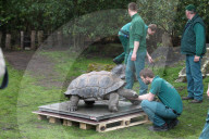 FEATURE - Invertar im Tierpark Hagenbeck in Hamburg
