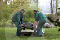 FEATURE - Invertar im Tierpark Hagenbeck in Hamburg